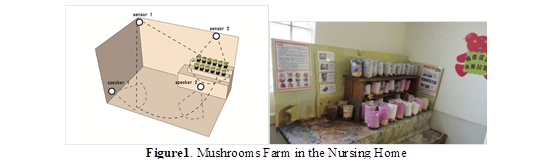   
Figure1. Mushrooms Farm in the Nursing Home
